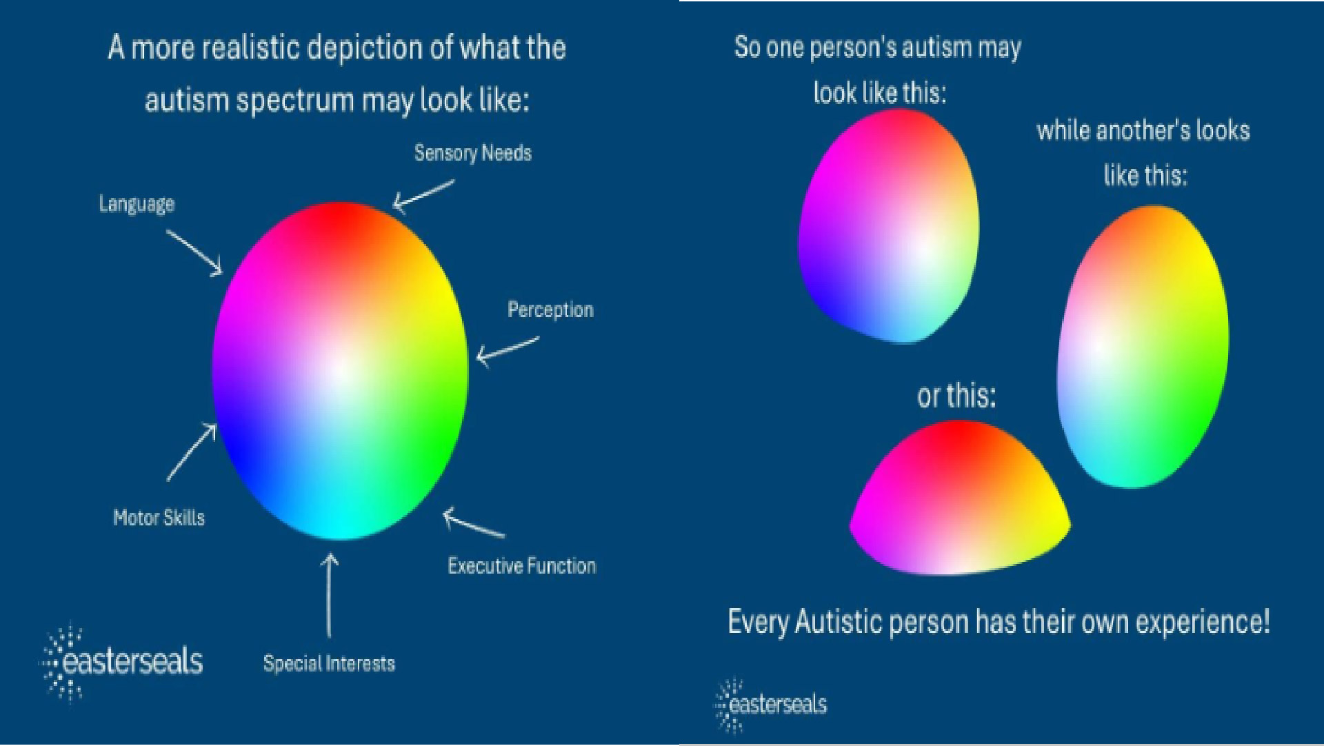 The Autism Spectrum – THS Media